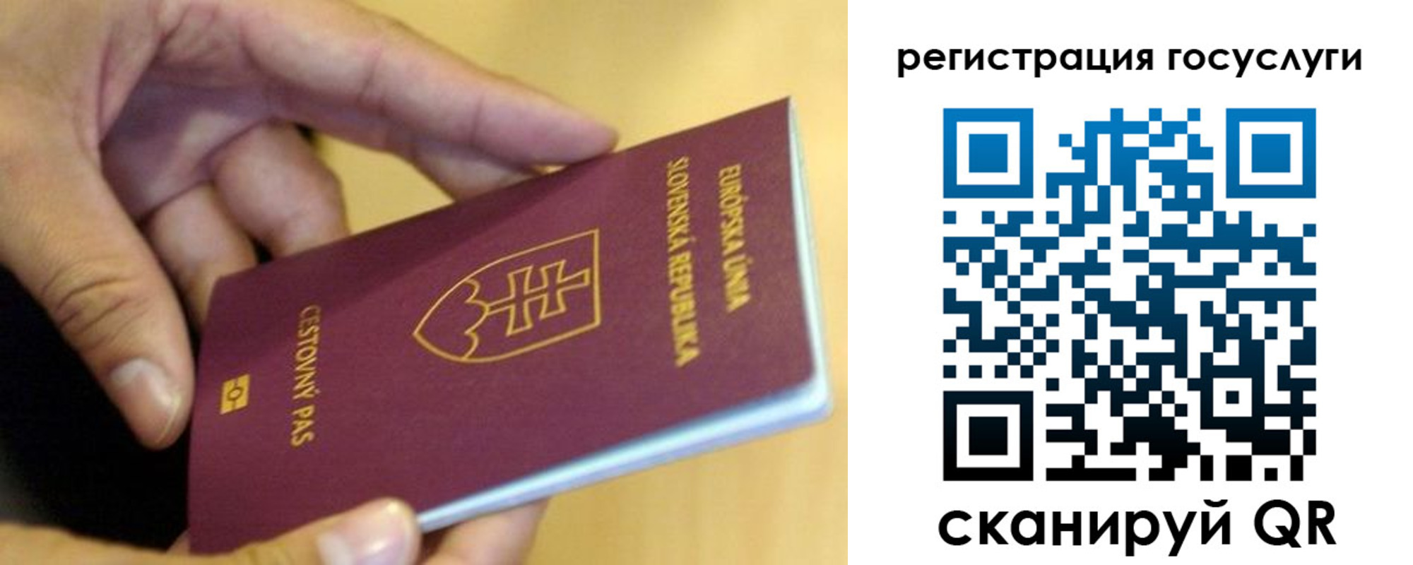 прописка в квартире в Таре